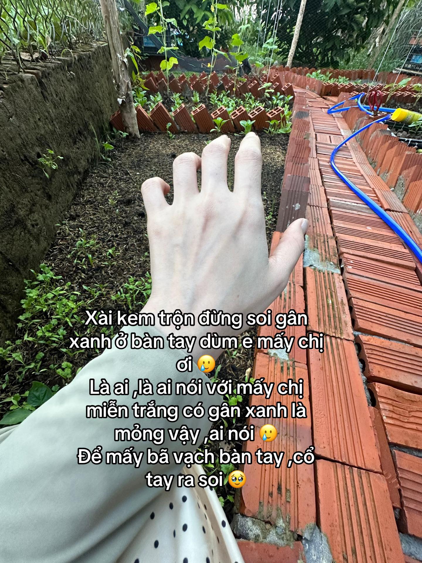 @hồng ân