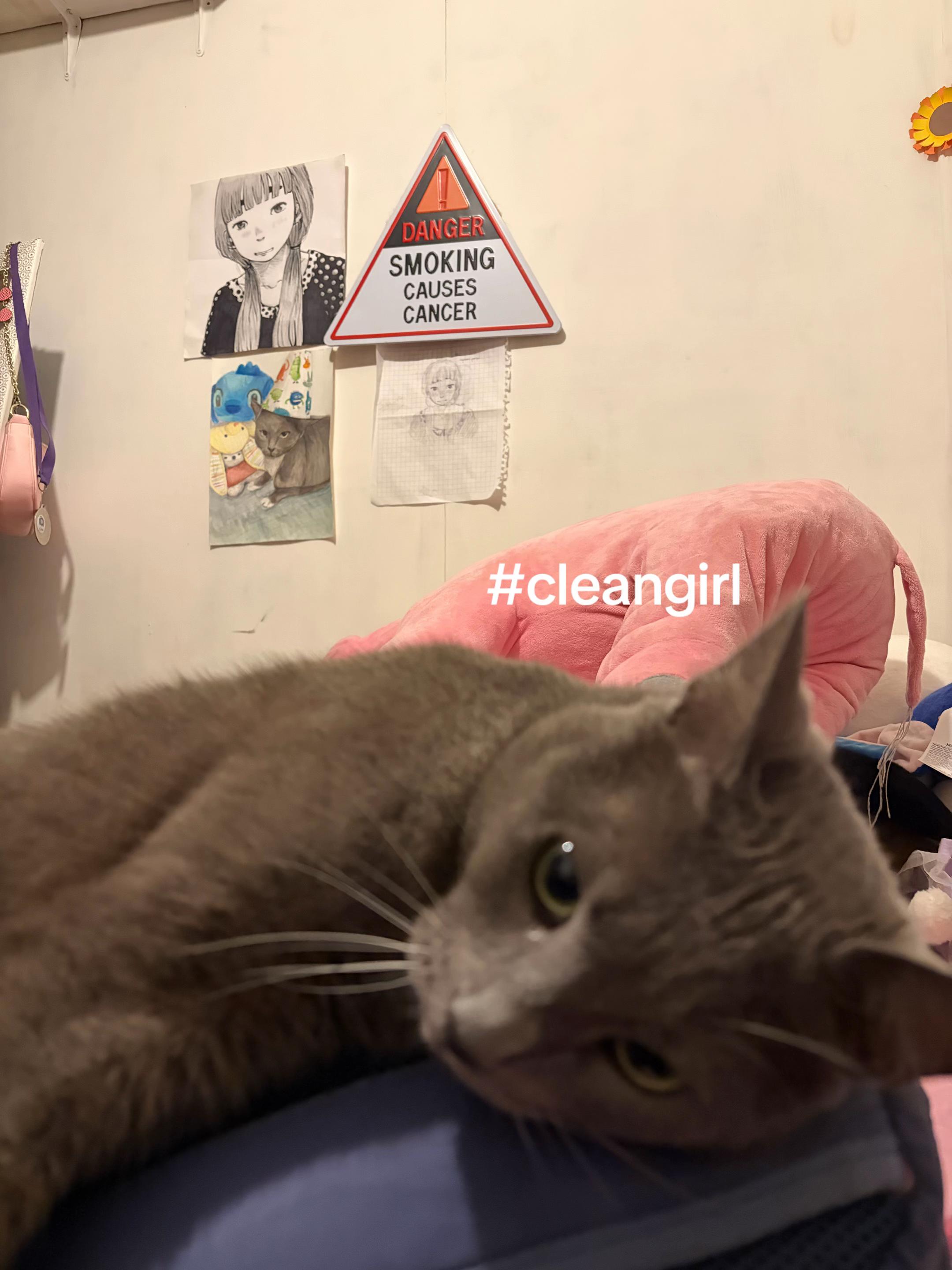 @capibaritag💫