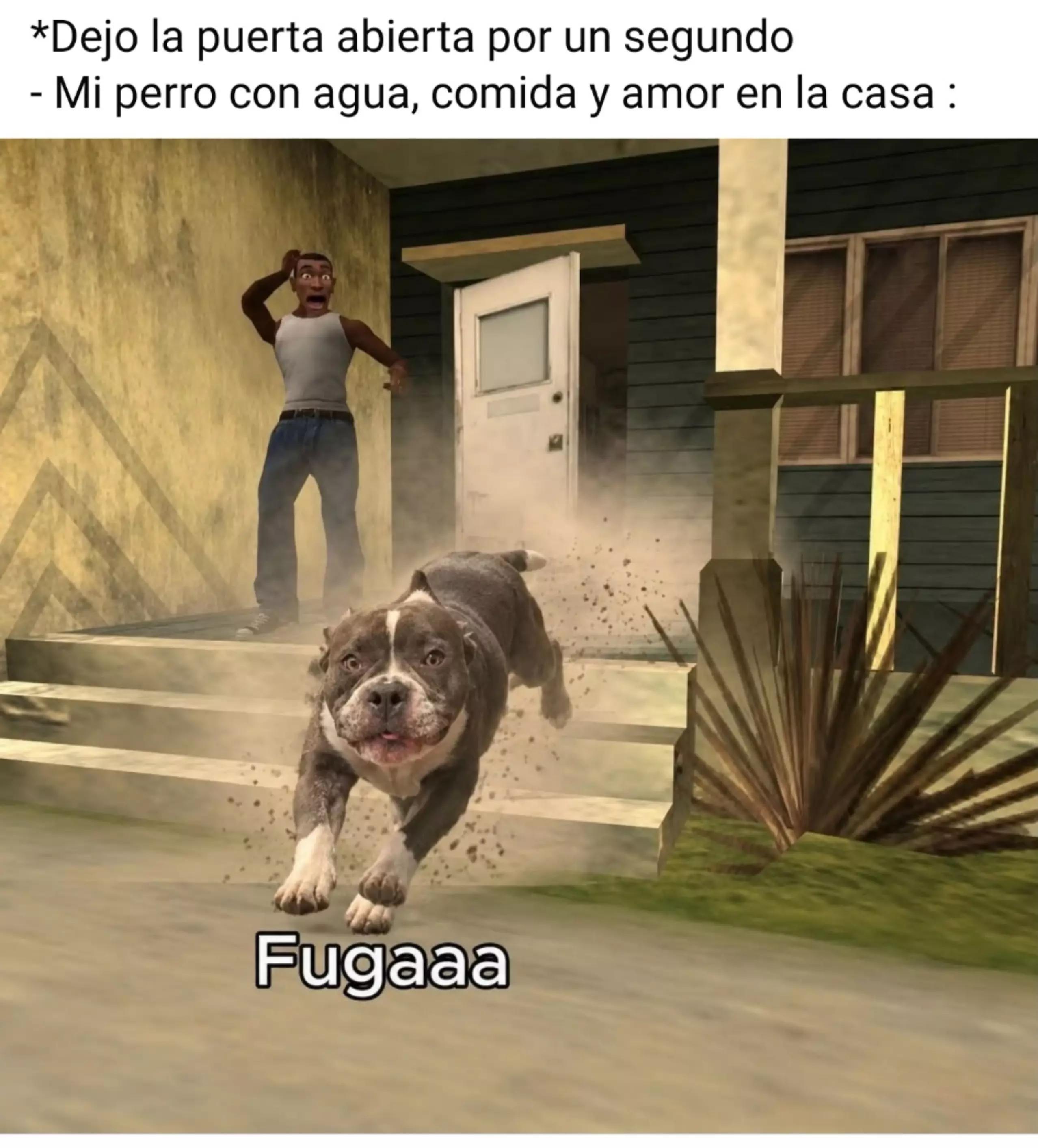 @MartinMijaresTv