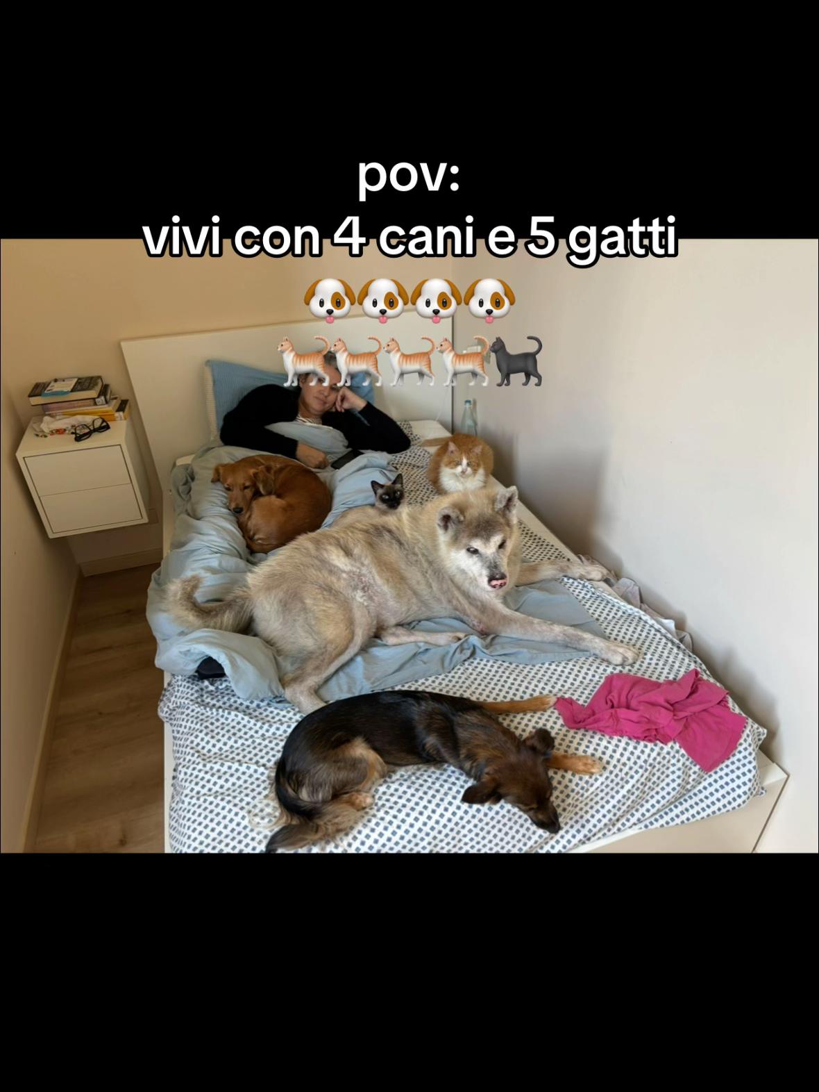 @sofi.favaro