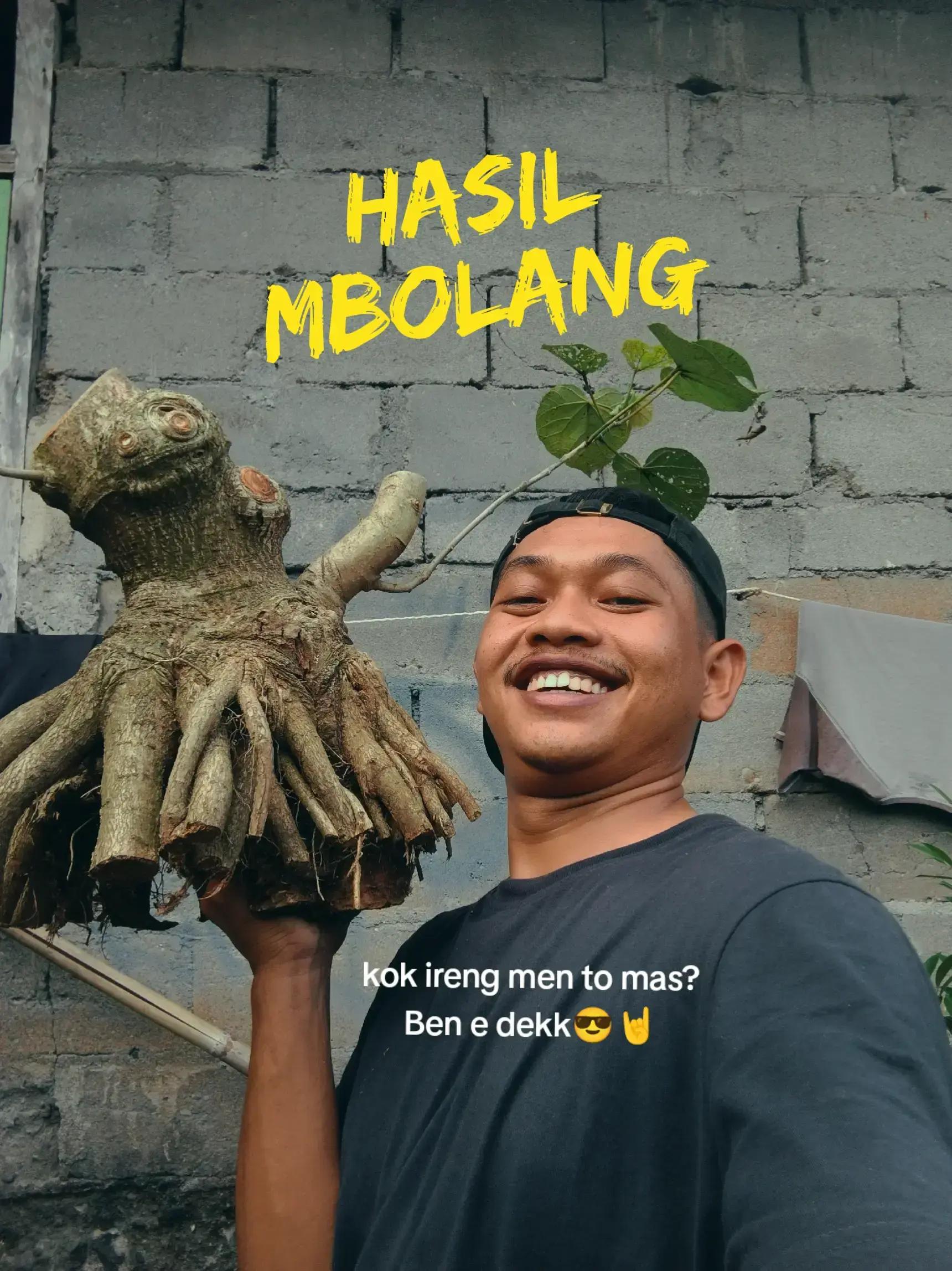 @RA'BONSAI