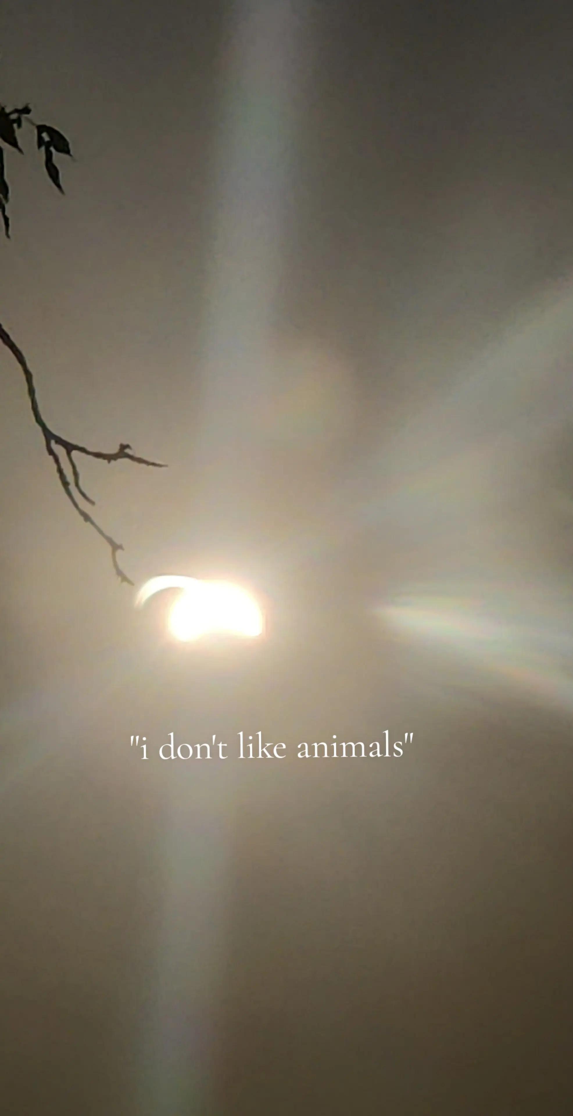 @영원히에이미