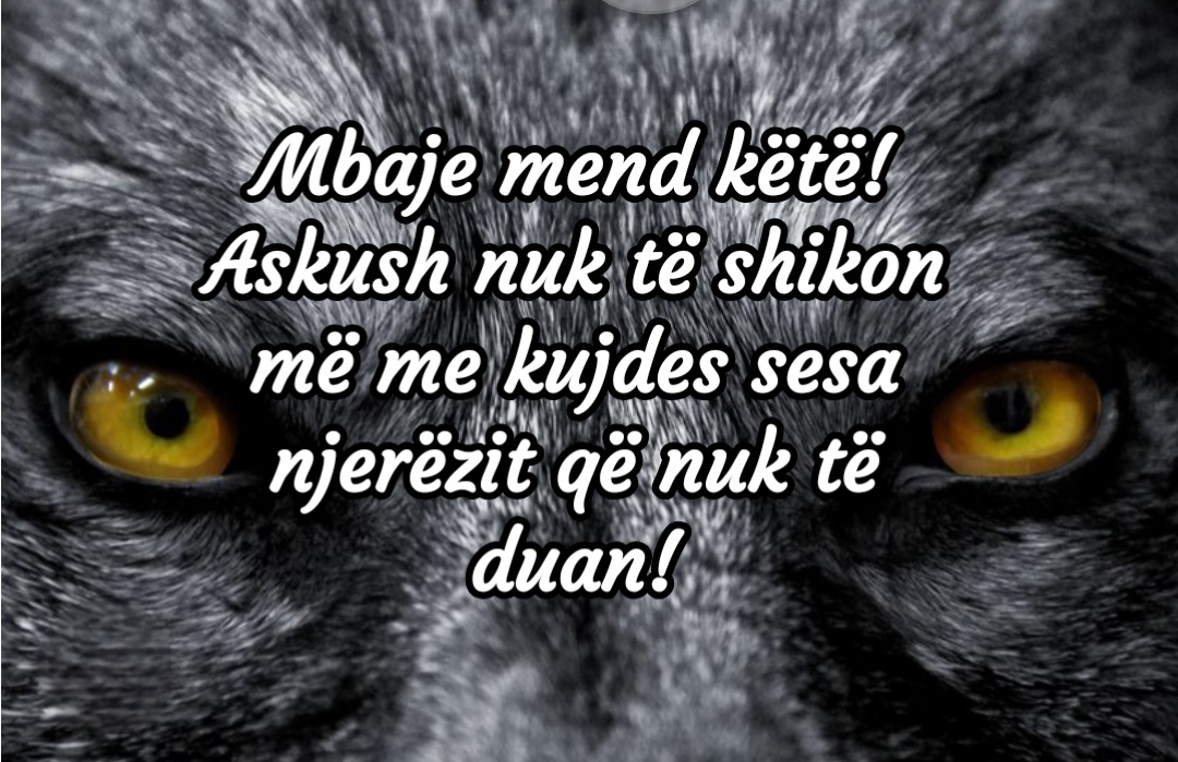 @tijatija