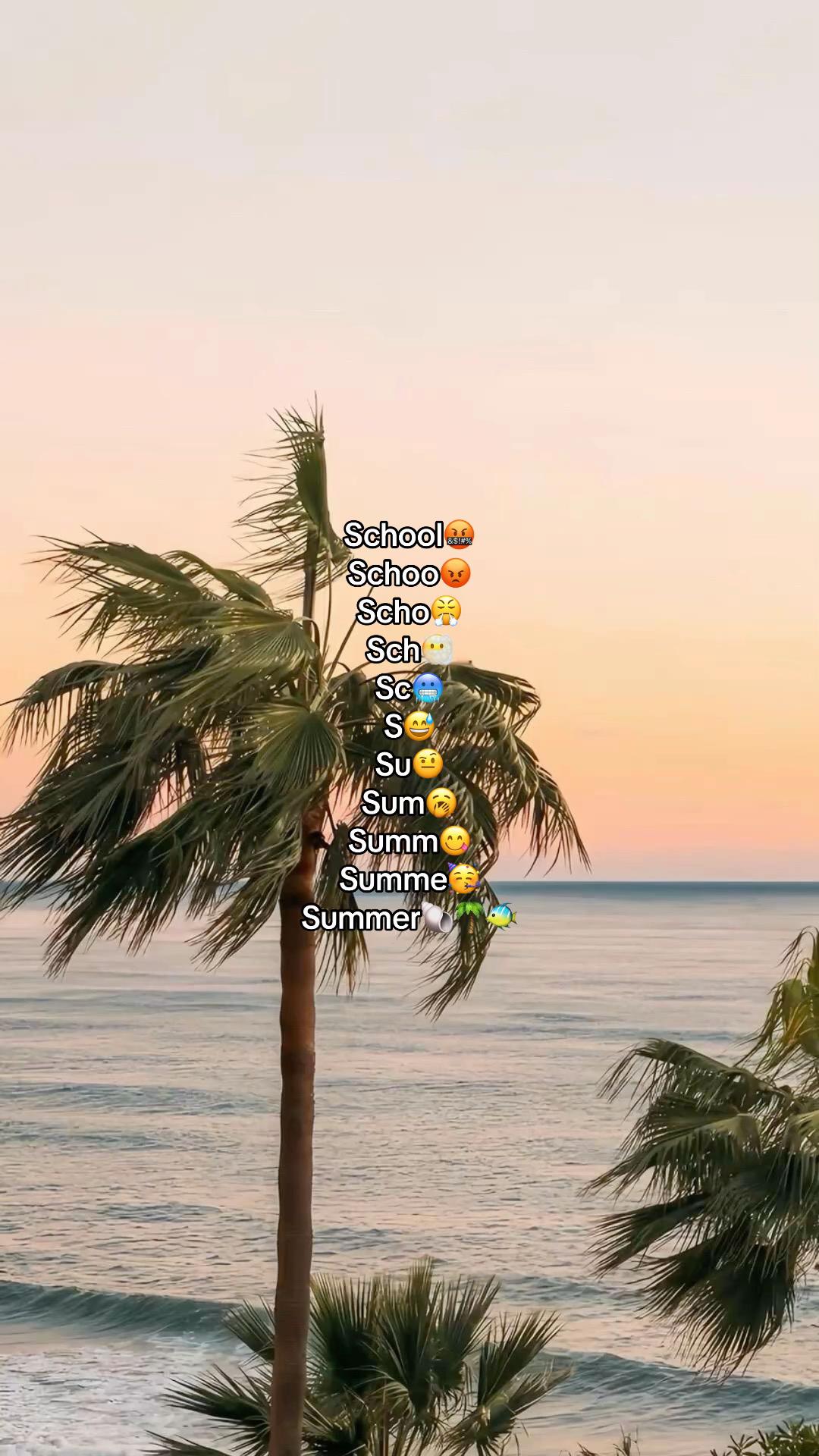 @🐨