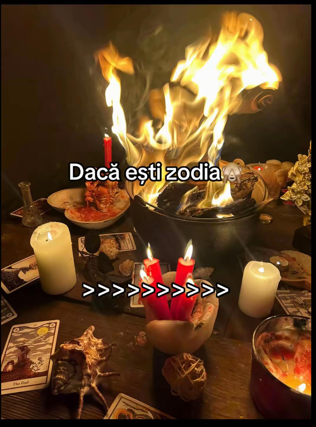@🥀Tamaduitoarea Denysa 🔮