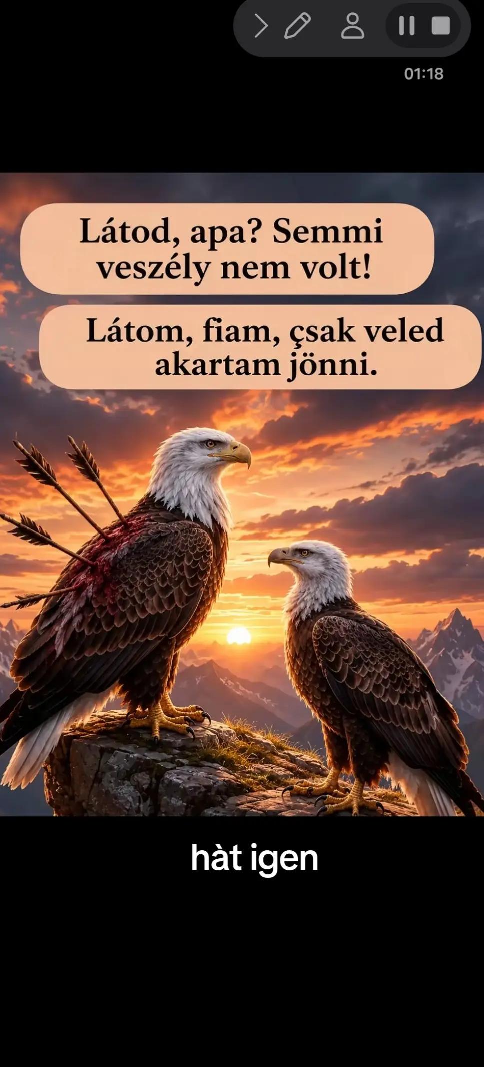 @Elemer Budai