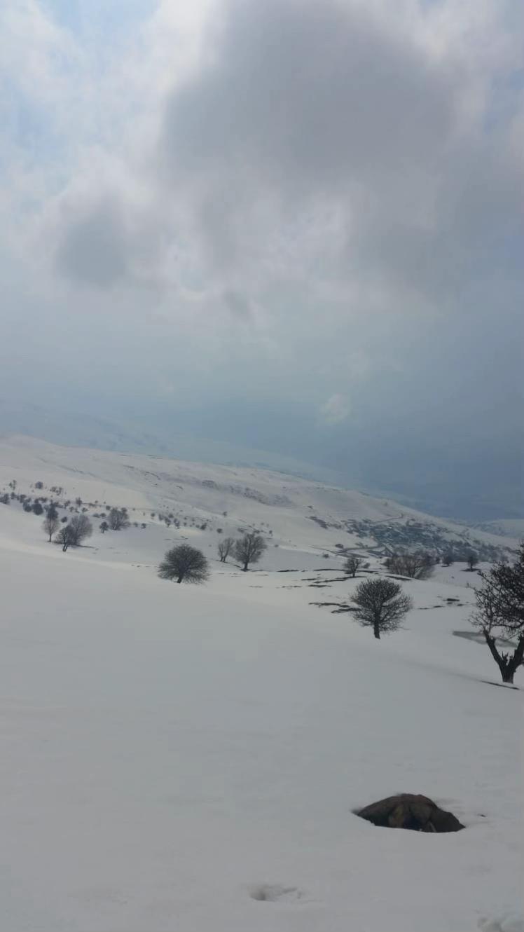 @DİJWAR 🕊️