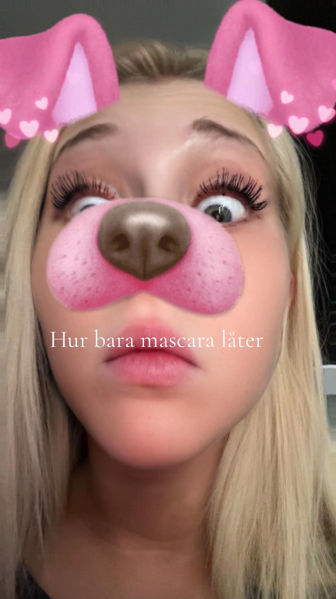 @dinrebecca1
