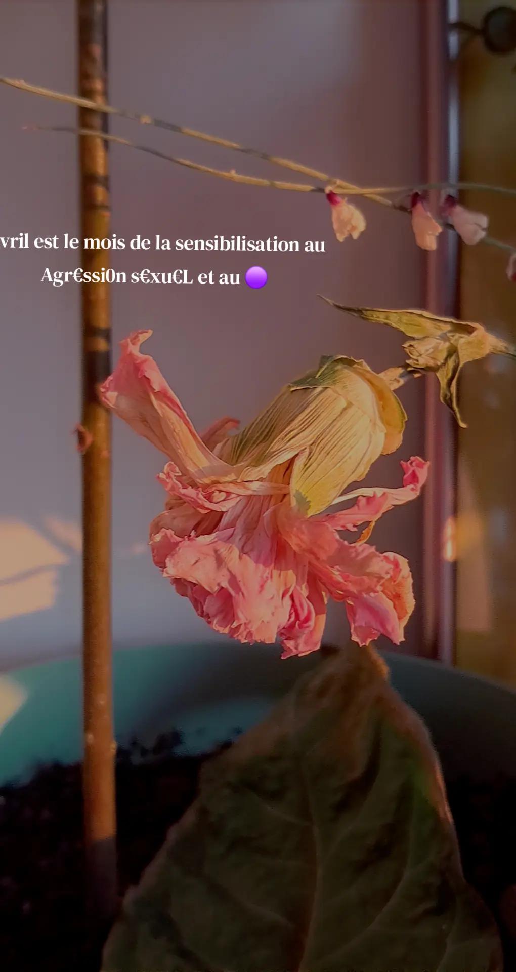 @Nerenzu_officiel