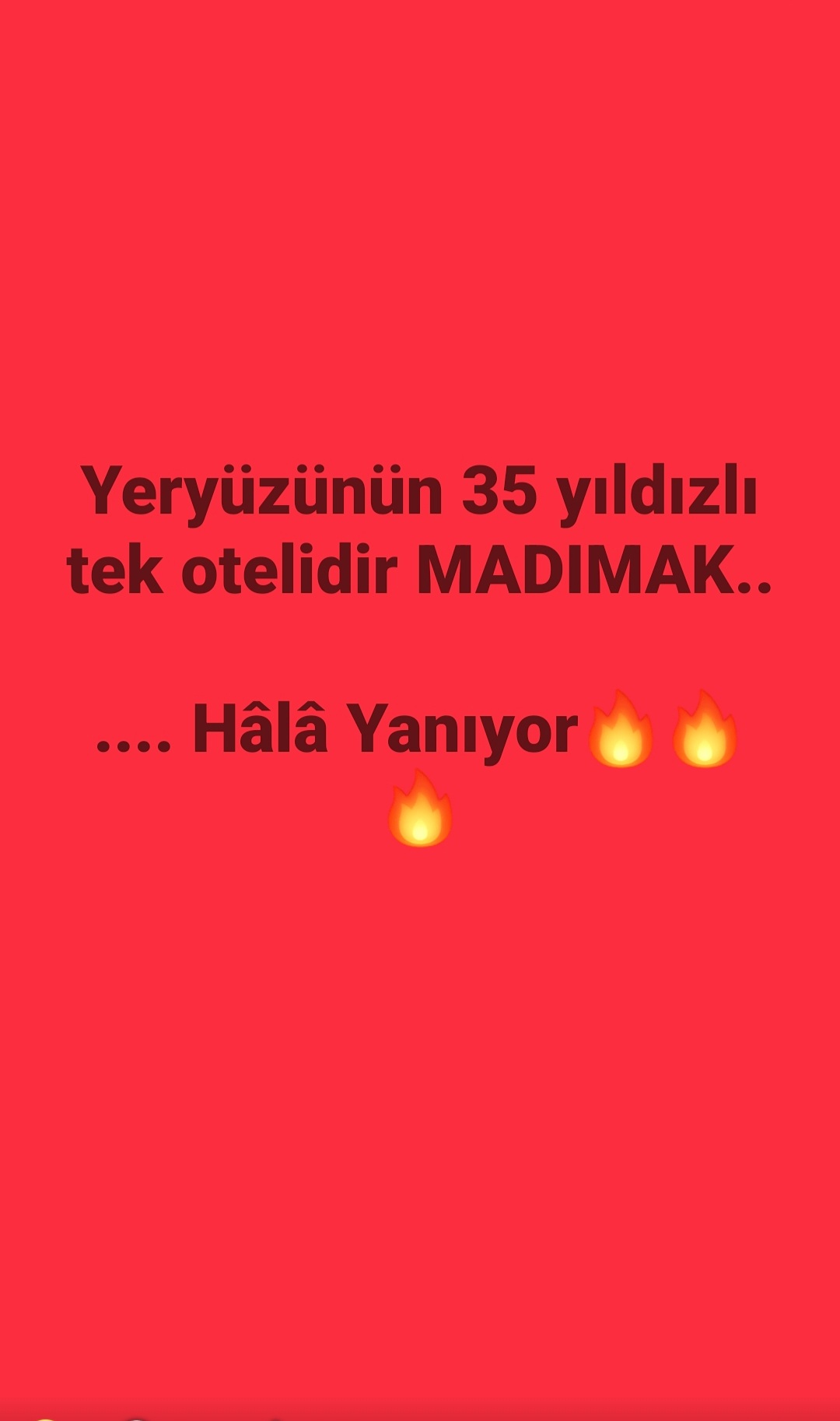 @zeycanakkusyildi3
