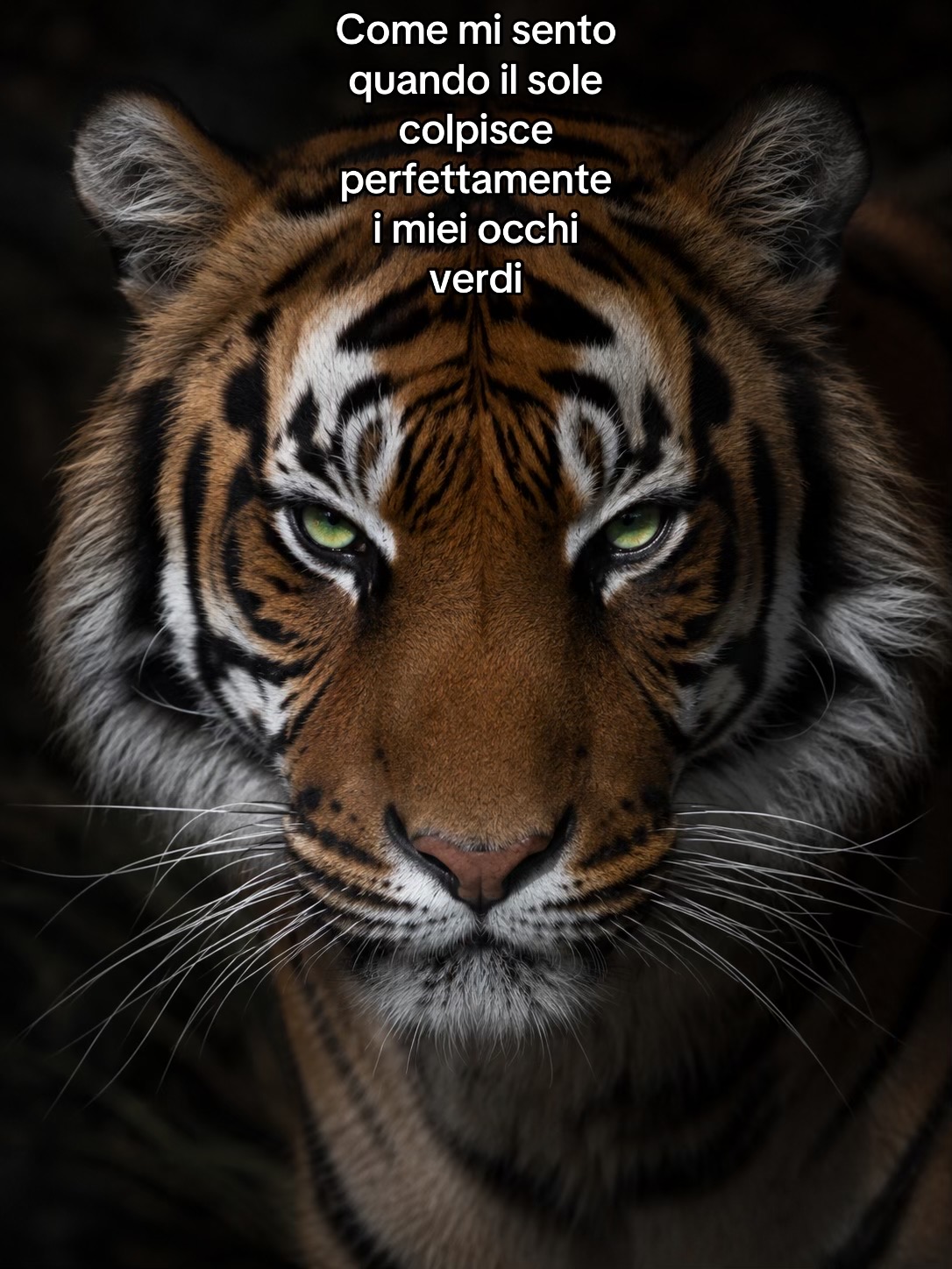 @Chiara Abbate