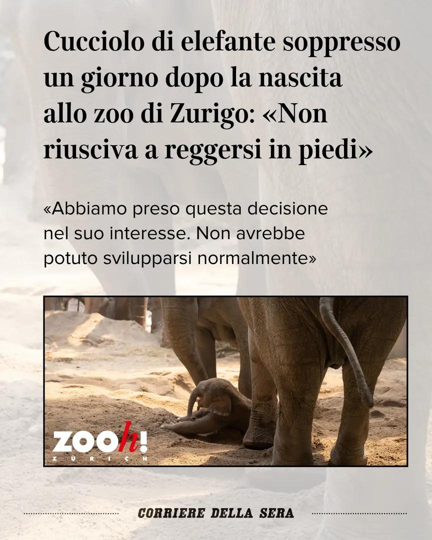 @Corriere della Sera