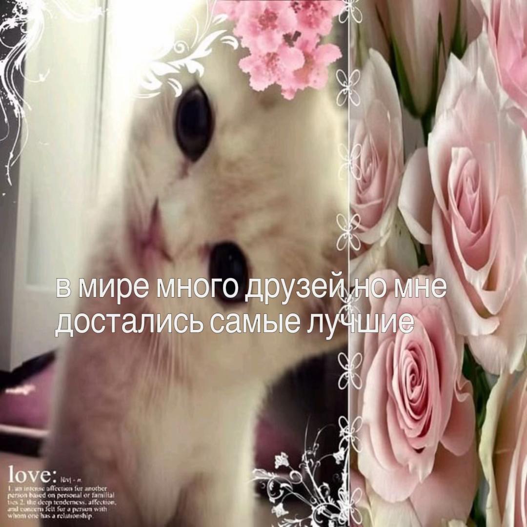 @русая🌿