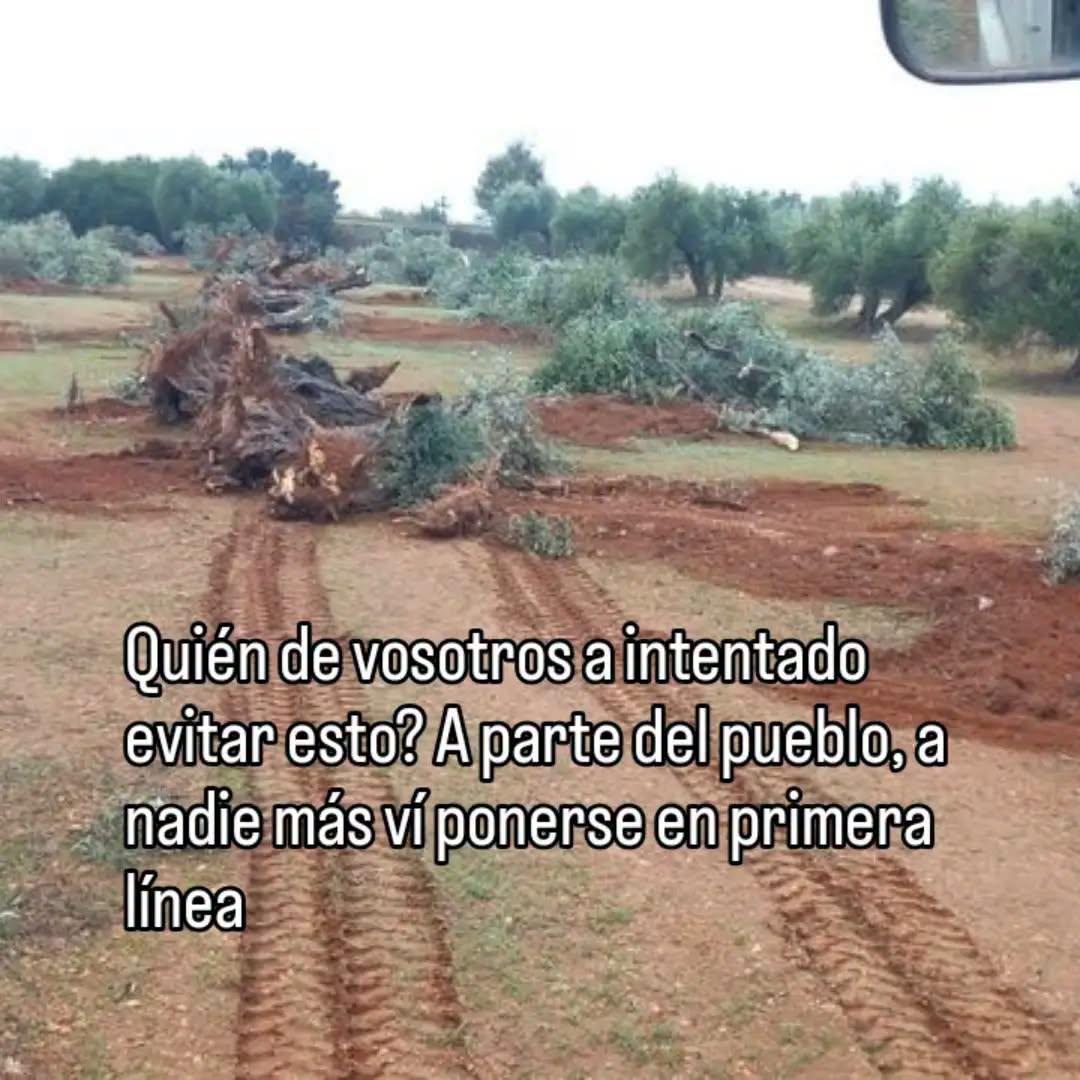 @Prietoferrero