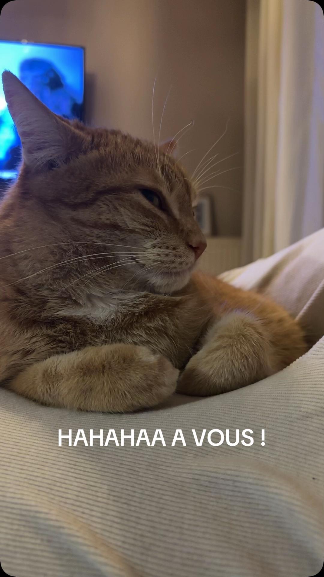 @So💕