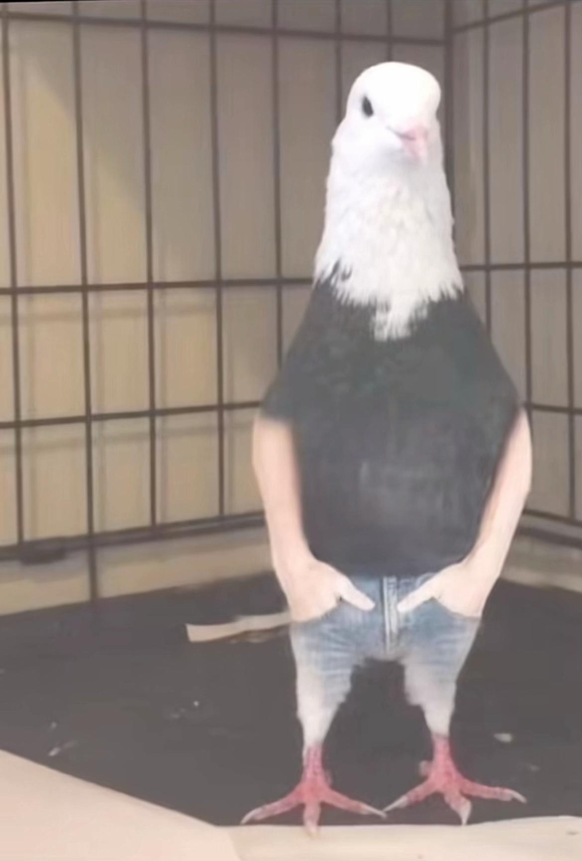 @St0rm