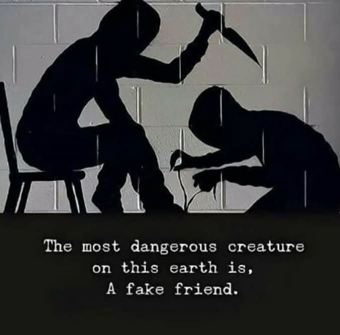 @SJManchester