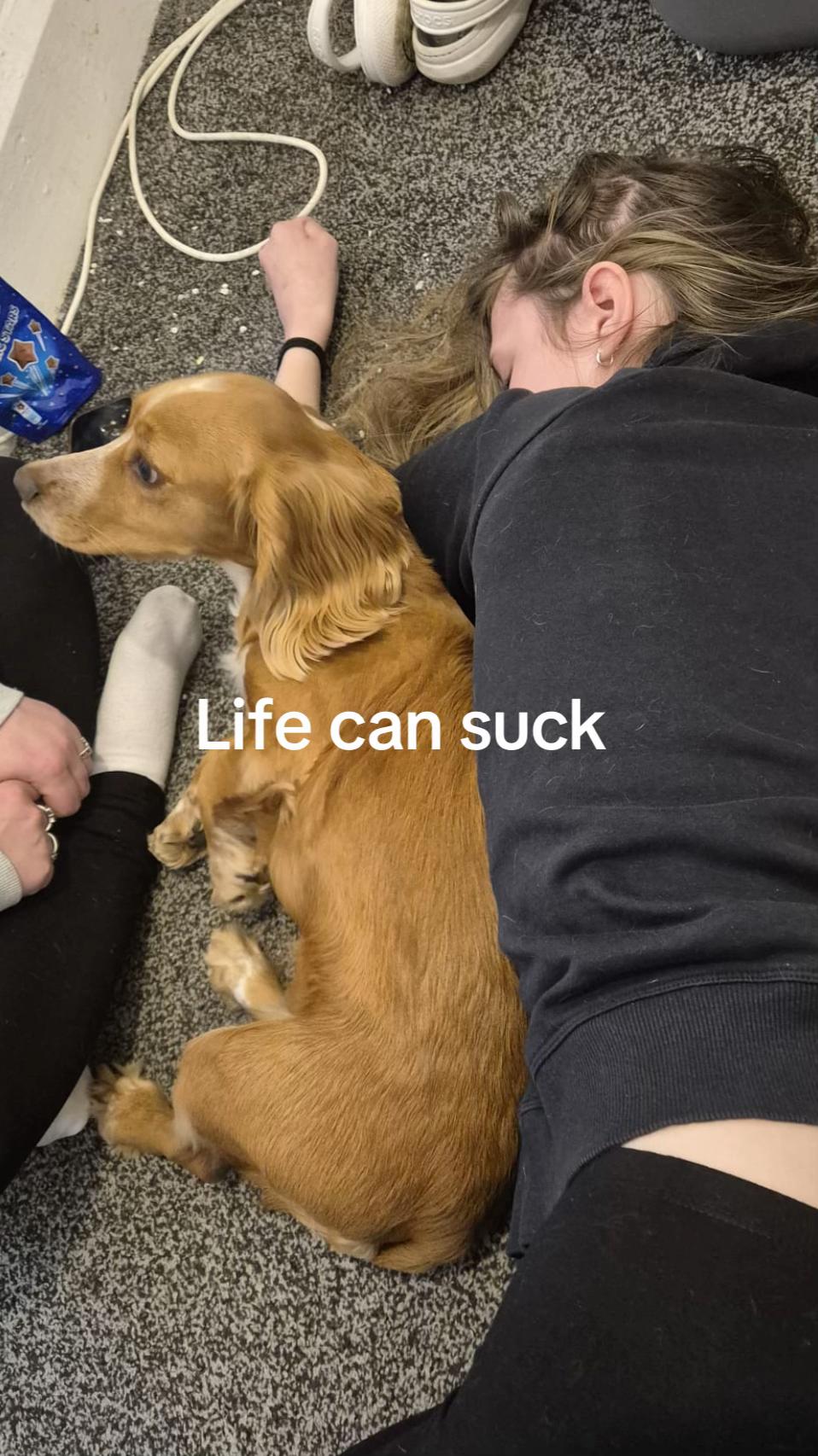 @Macie🤍