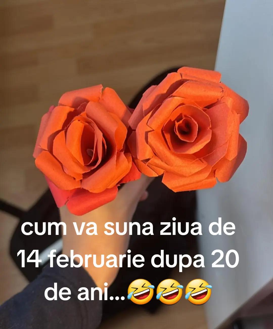 @Mirela Savu