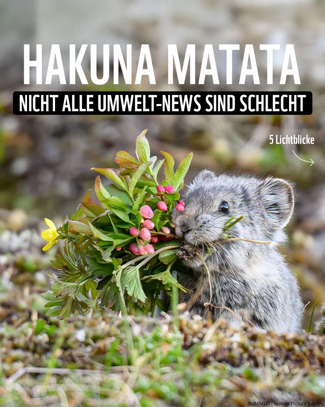 @WWF Schweiz