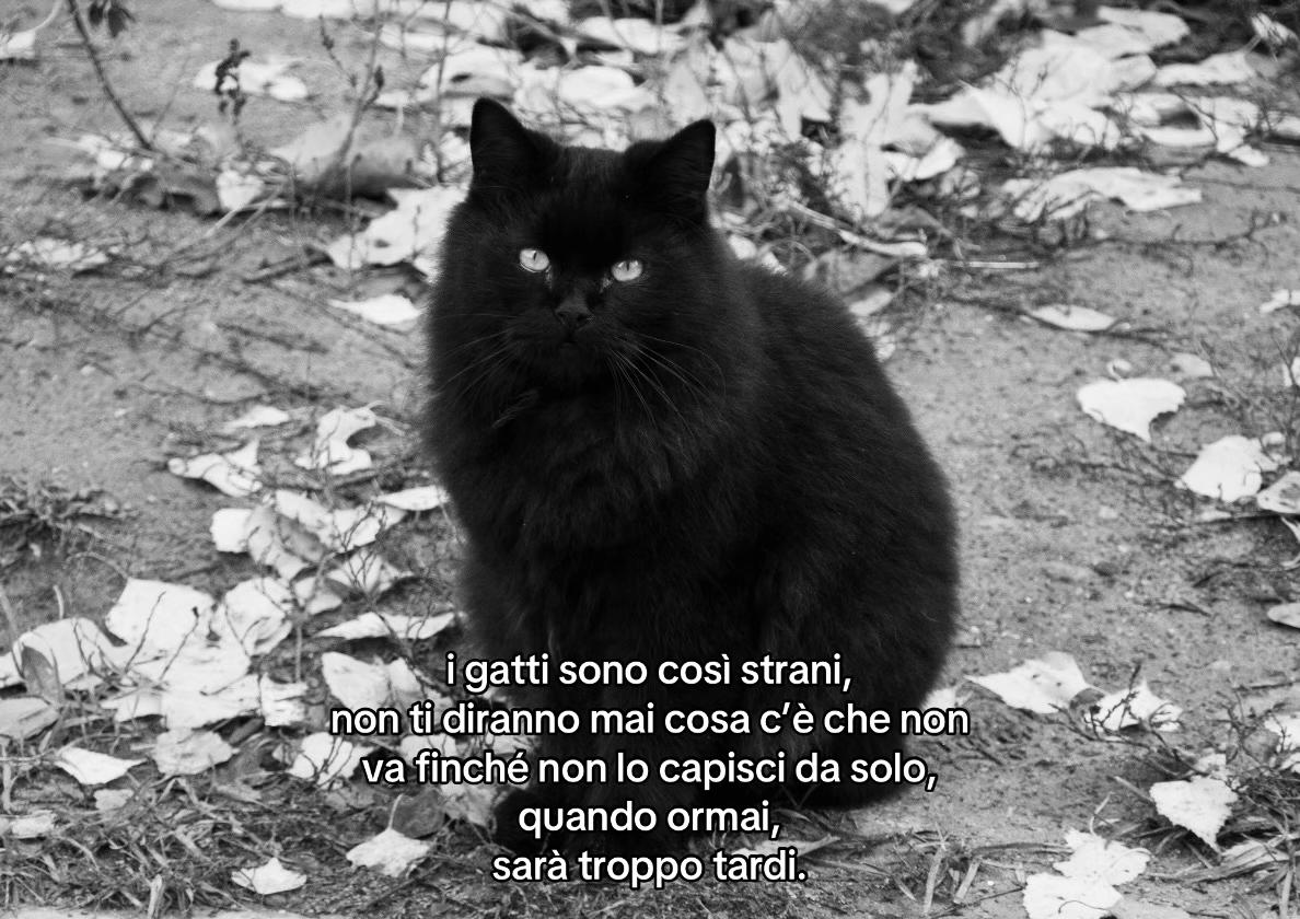 @giorgia ramundo