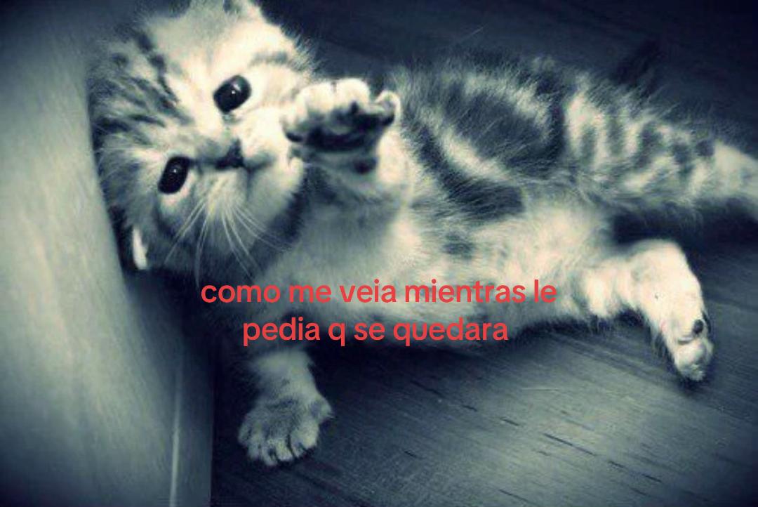 @secretaaaas