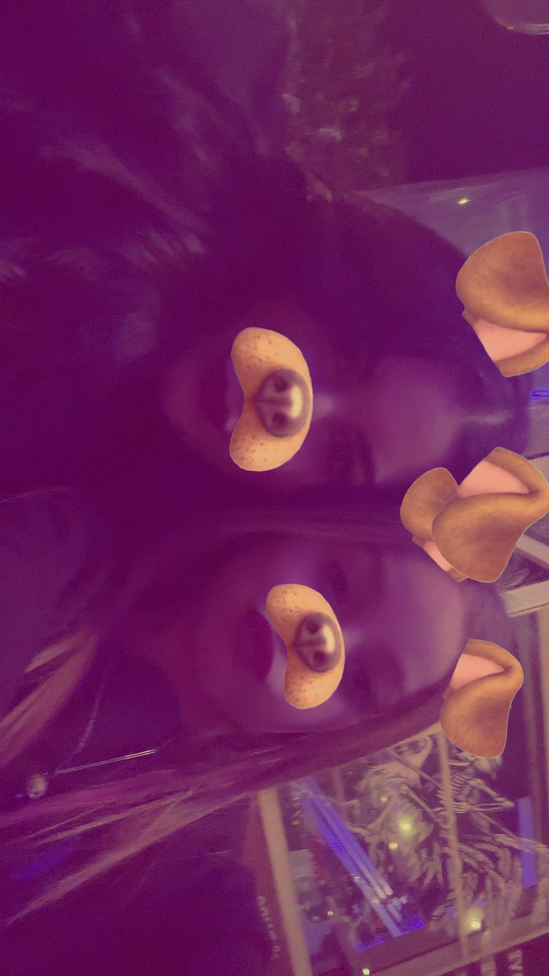 @Cristina La China👩🏻♥️