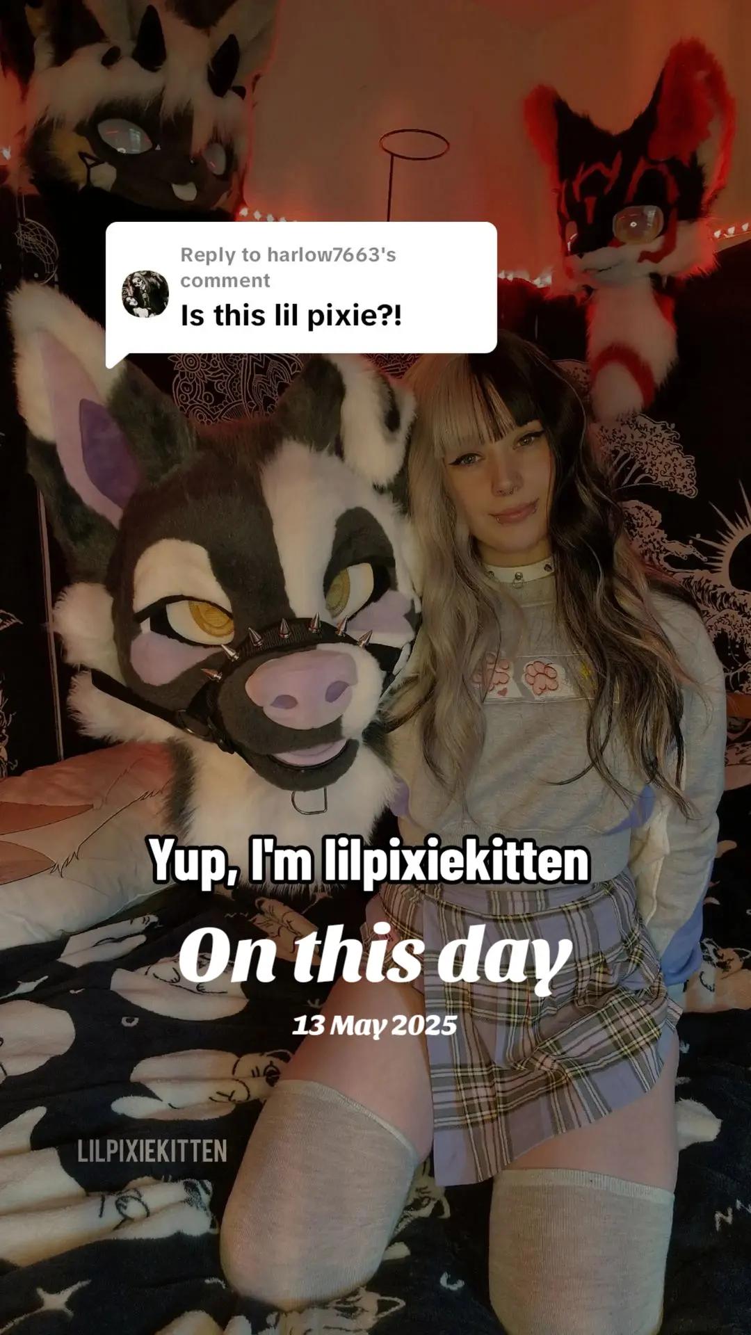 @Bailey (lilpixiekitten)