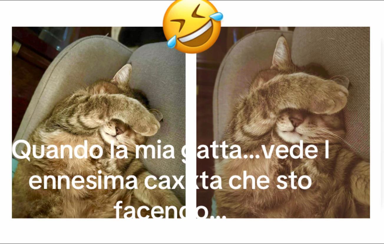 @Chicca 1971