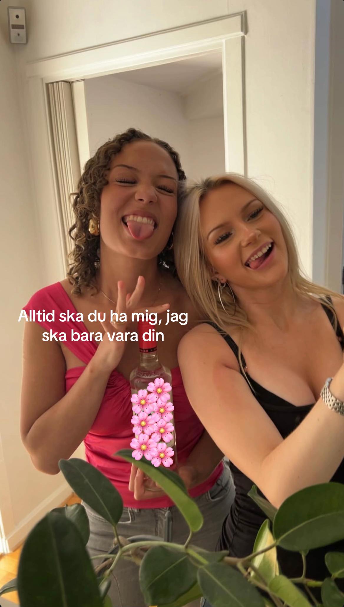 @meja