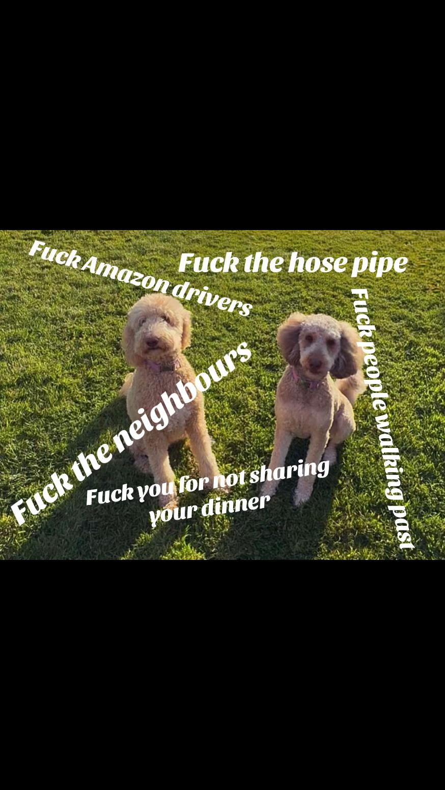@Doodle duo