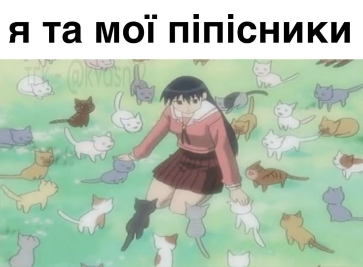 @amune_kotik👀