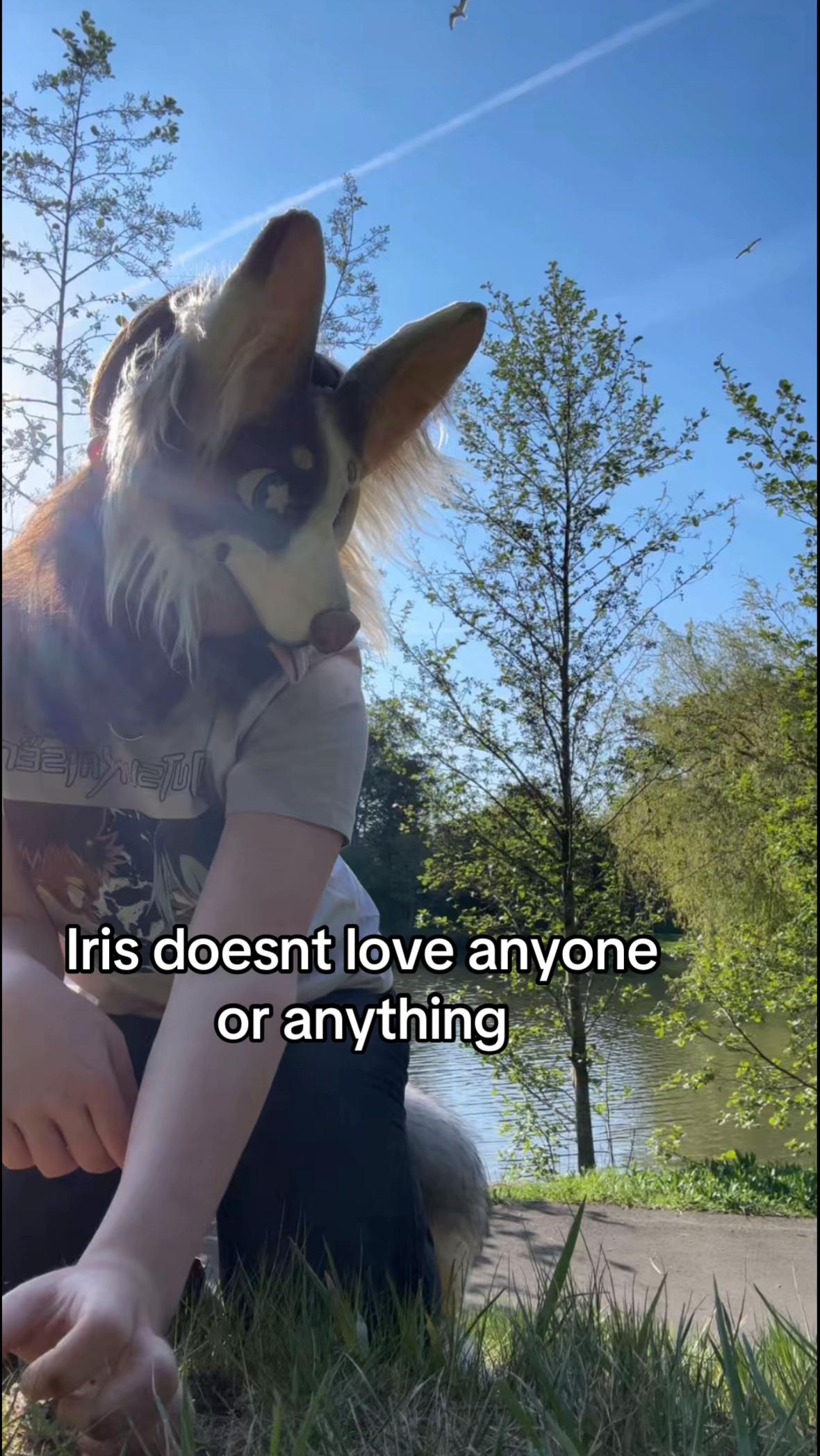 @Iris