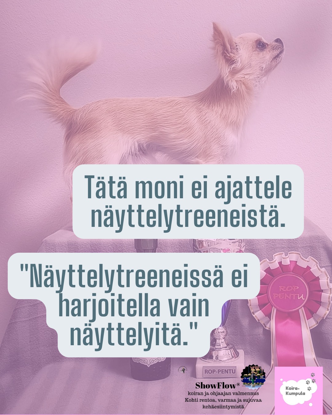 @Erja