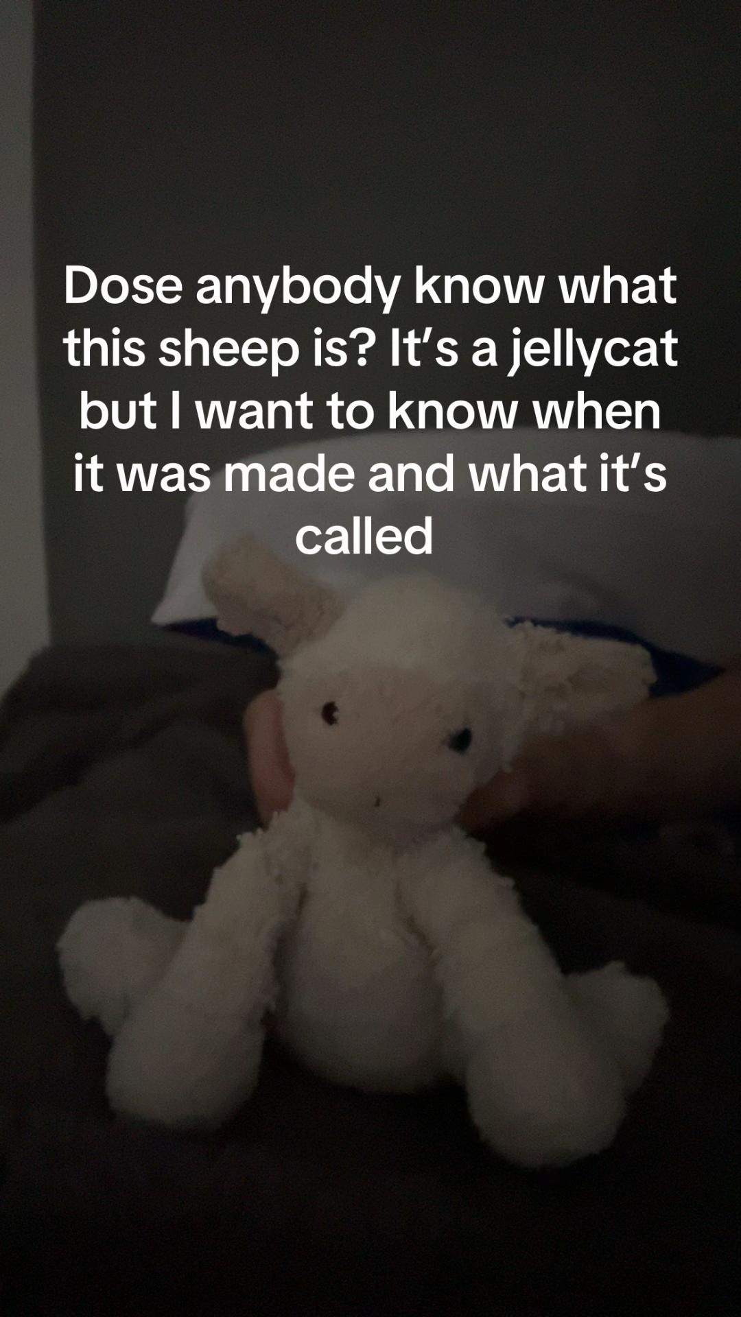 @bordercollieguy3