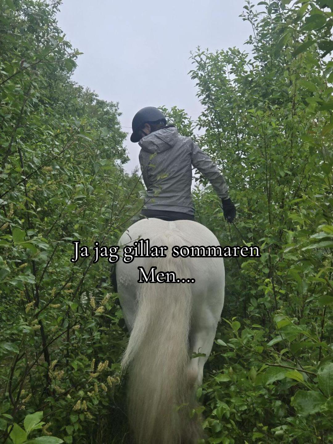 @𝒯𝒽𝑒𝒶 𝒩𝓎𝒷𝑒𝓇𝑔