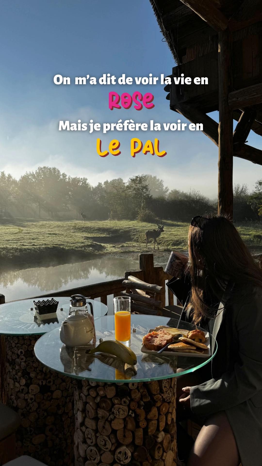 @Le PAL