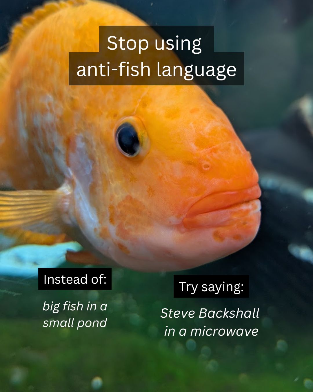 @BristolAquarium
