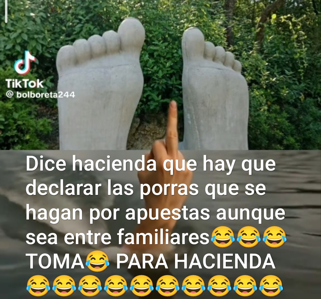 @FTorres Peluca