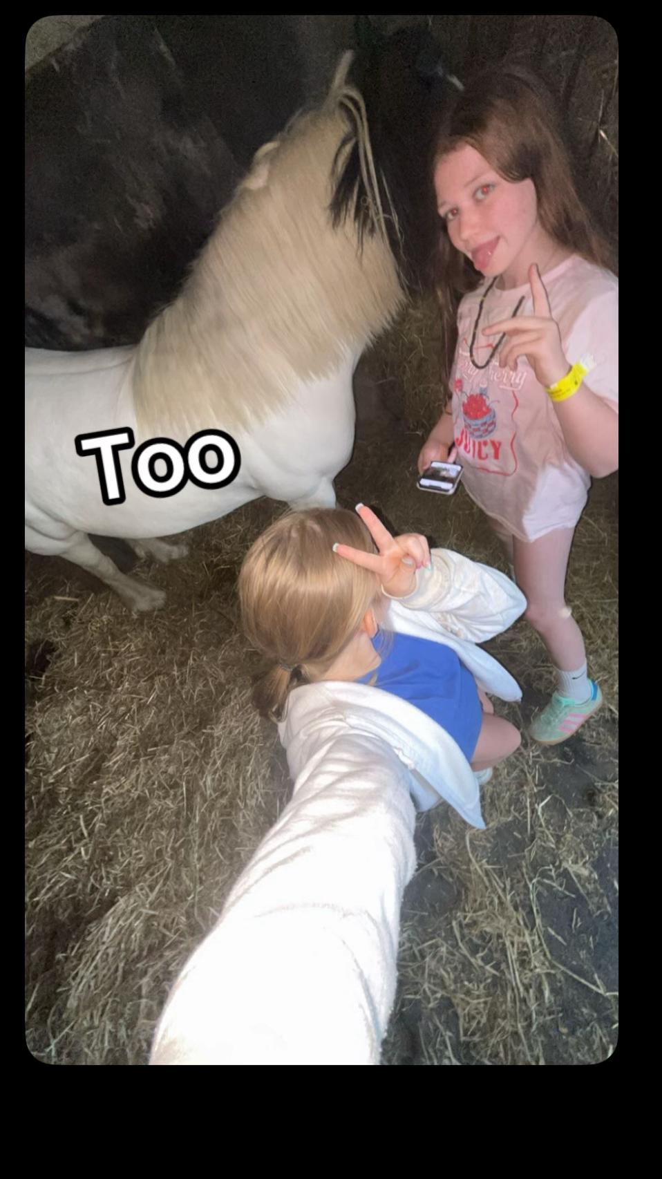 @Zara’spam🇮🇪🐴