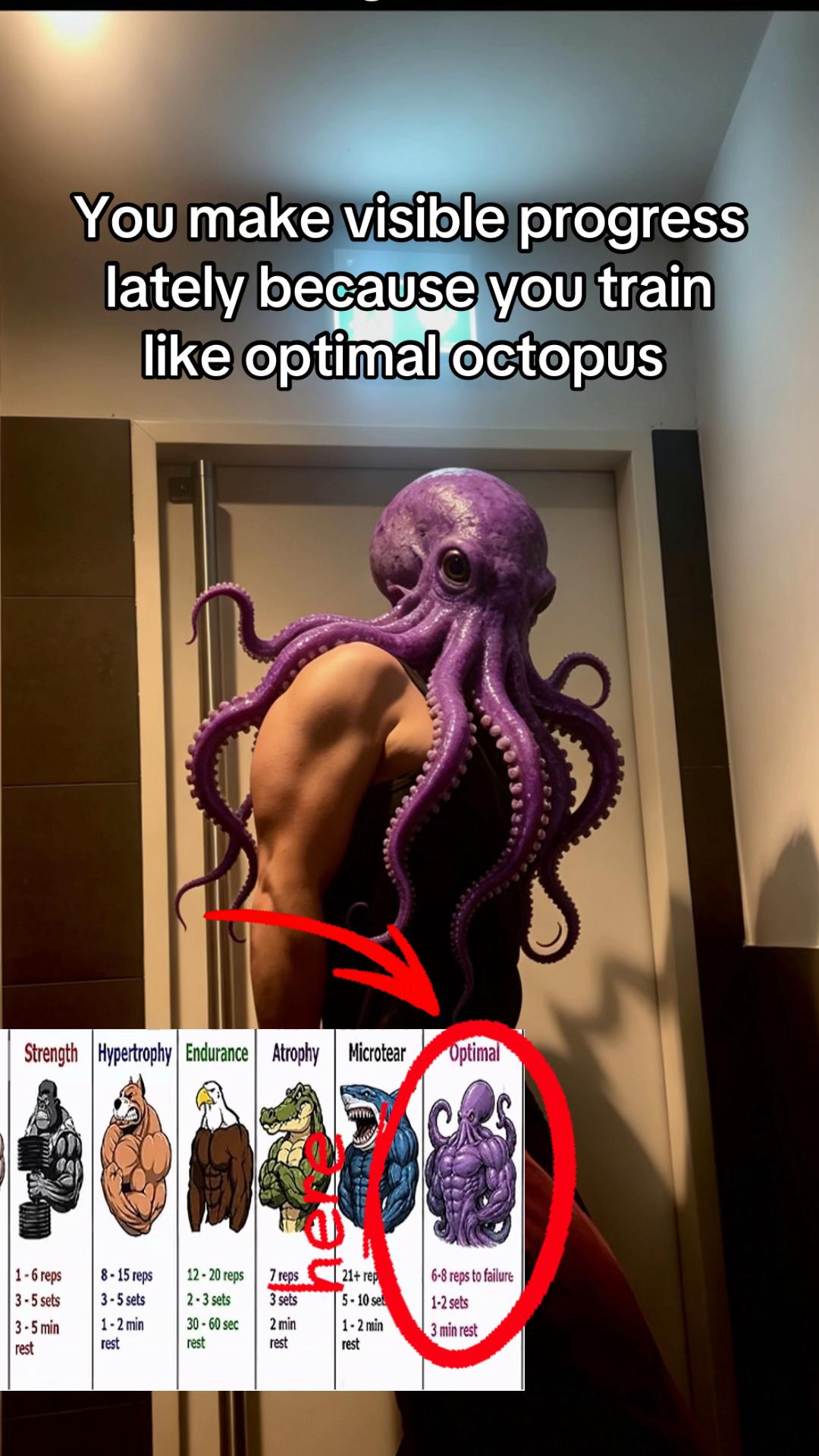 @Optimal Octopus