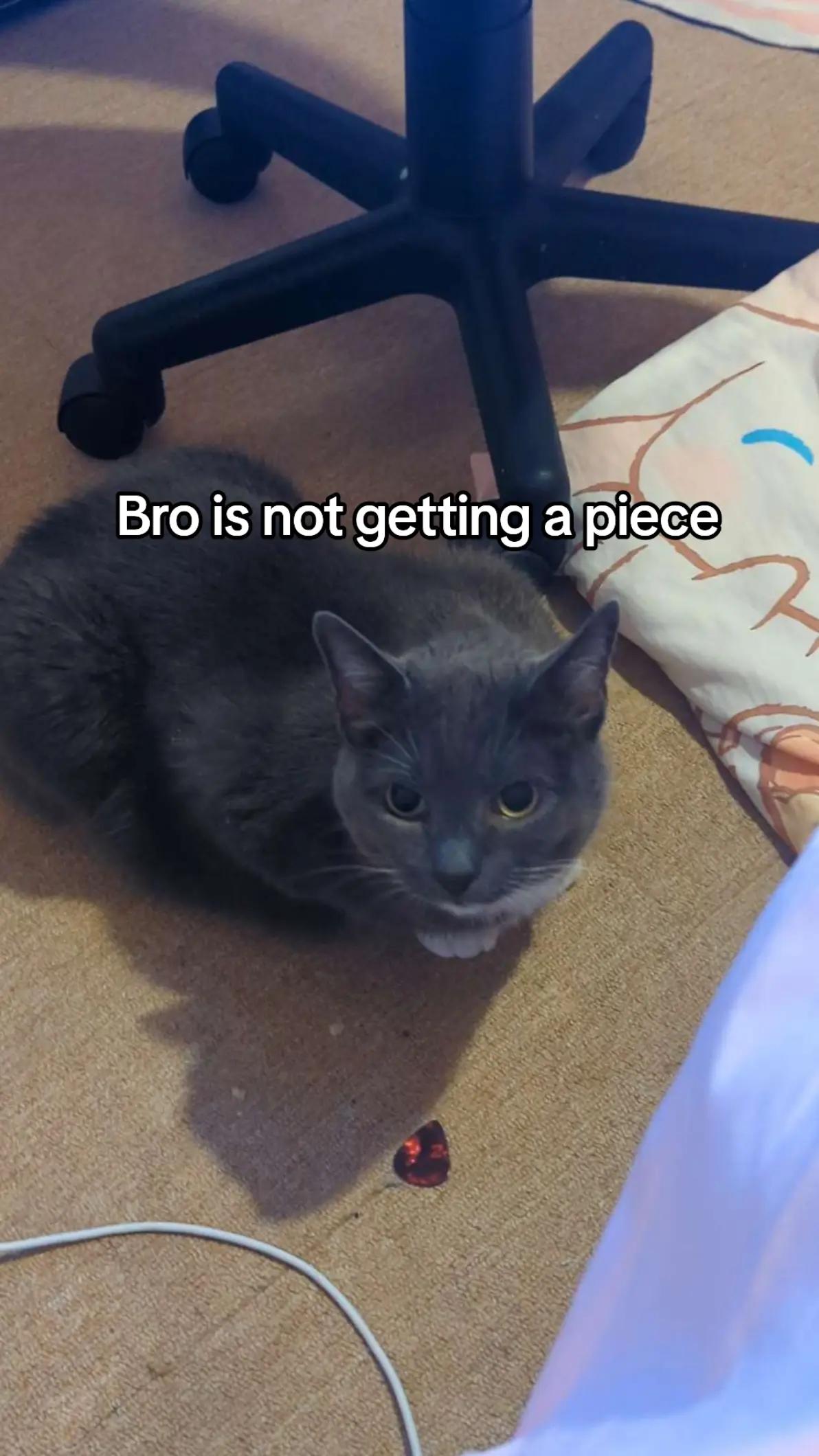 @🪐𝓁𝒾𝓁𝓁𝓎🪐