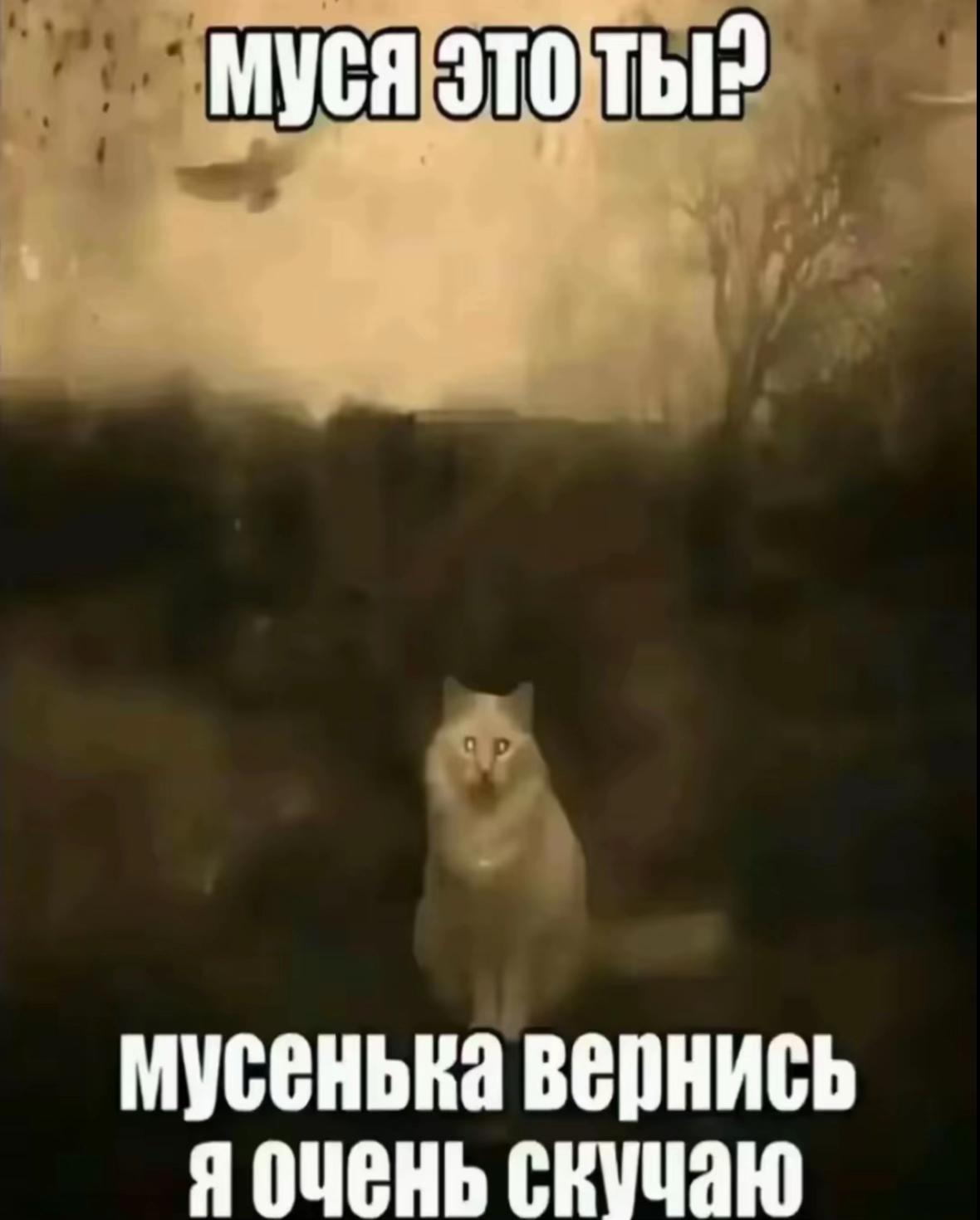 @𝐾𝑟𝑖𝑠𝑚𝑖