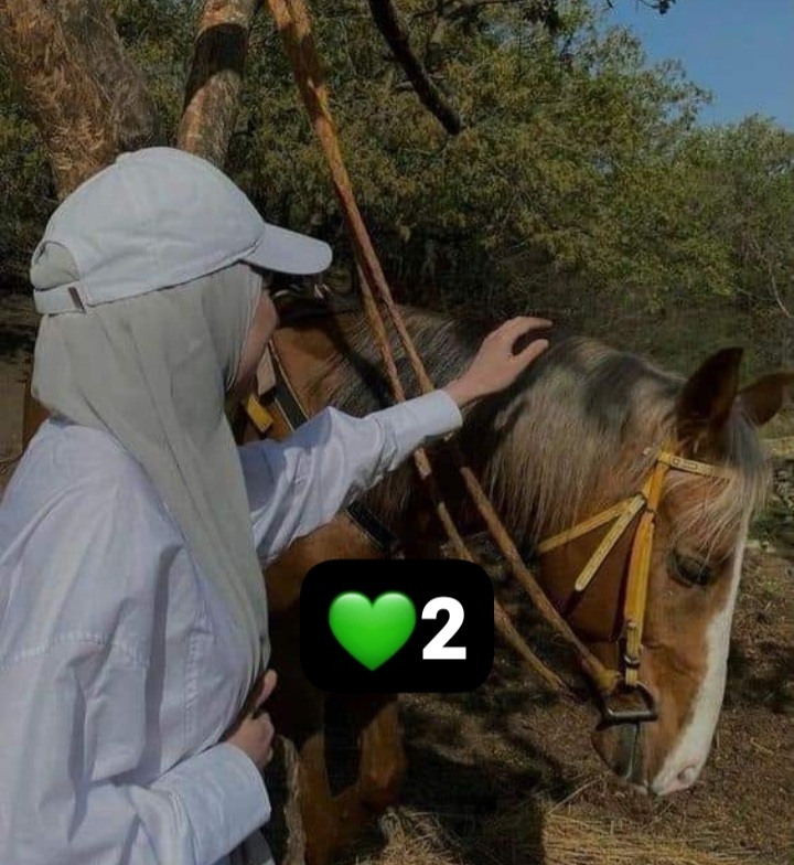 @🦋مہلأكہ لأدلبہيہةّ🦋