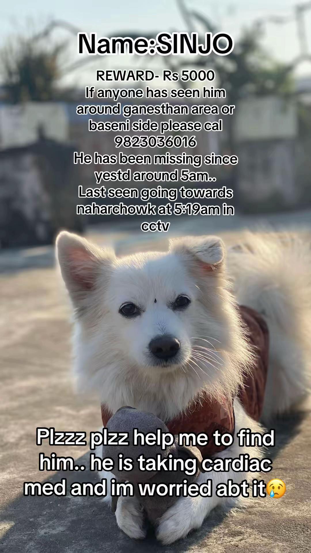 @Anshu shrestha 🐶