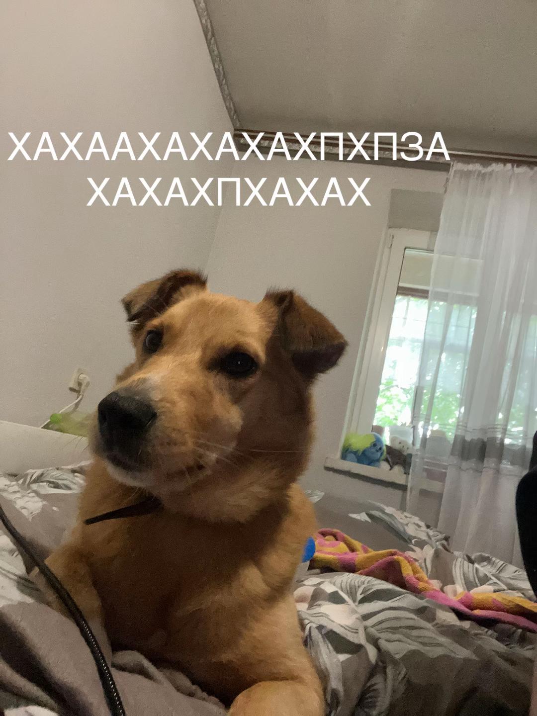 @лиза
