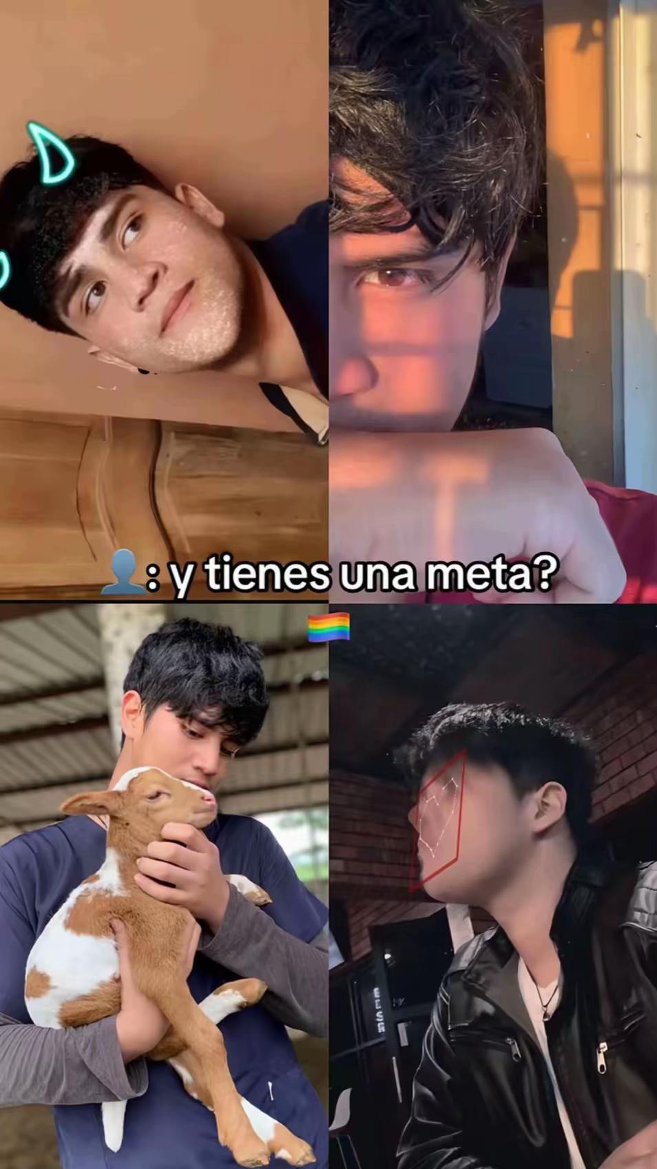 @José Rivadeneira 🦁