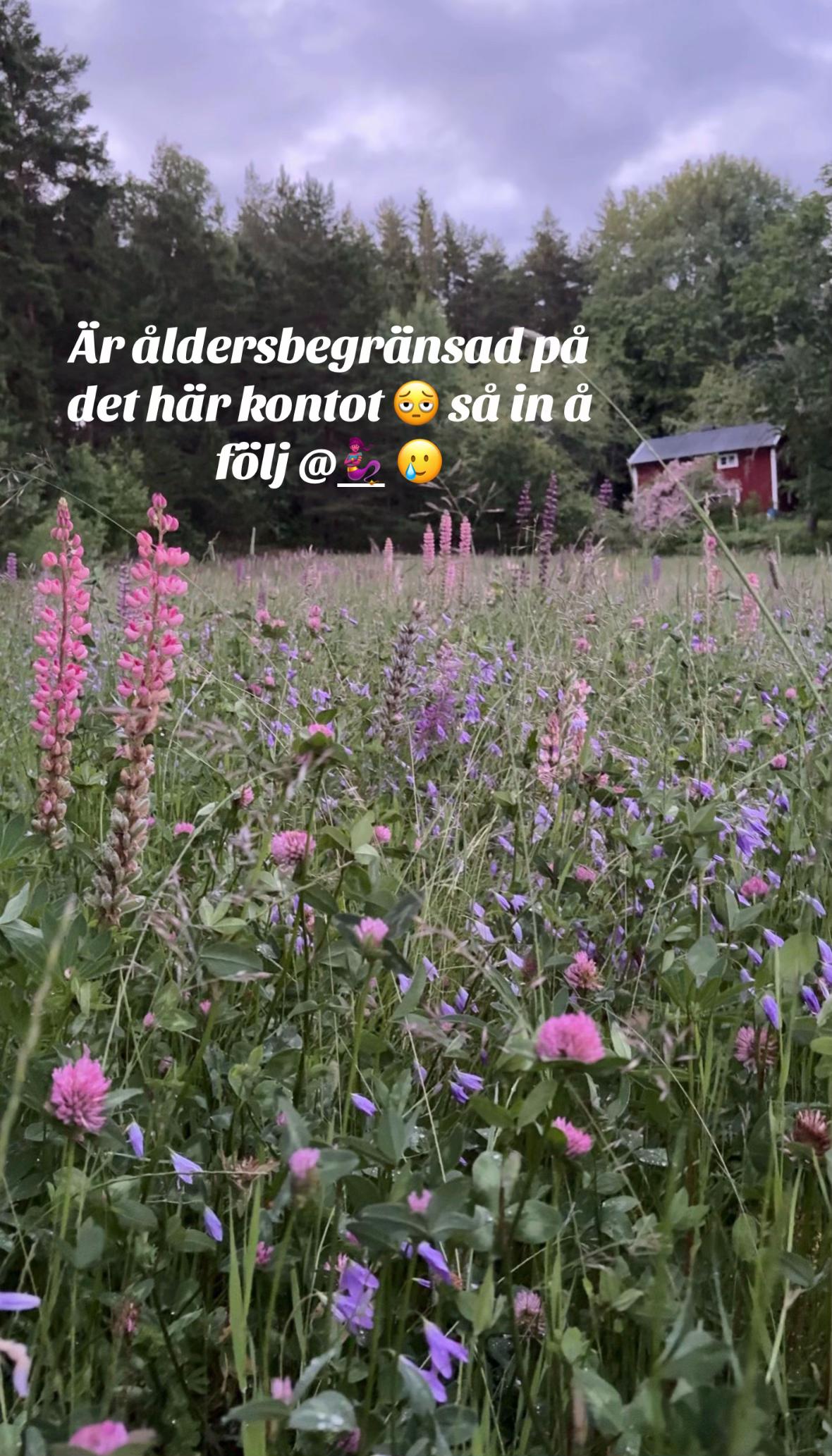 @S