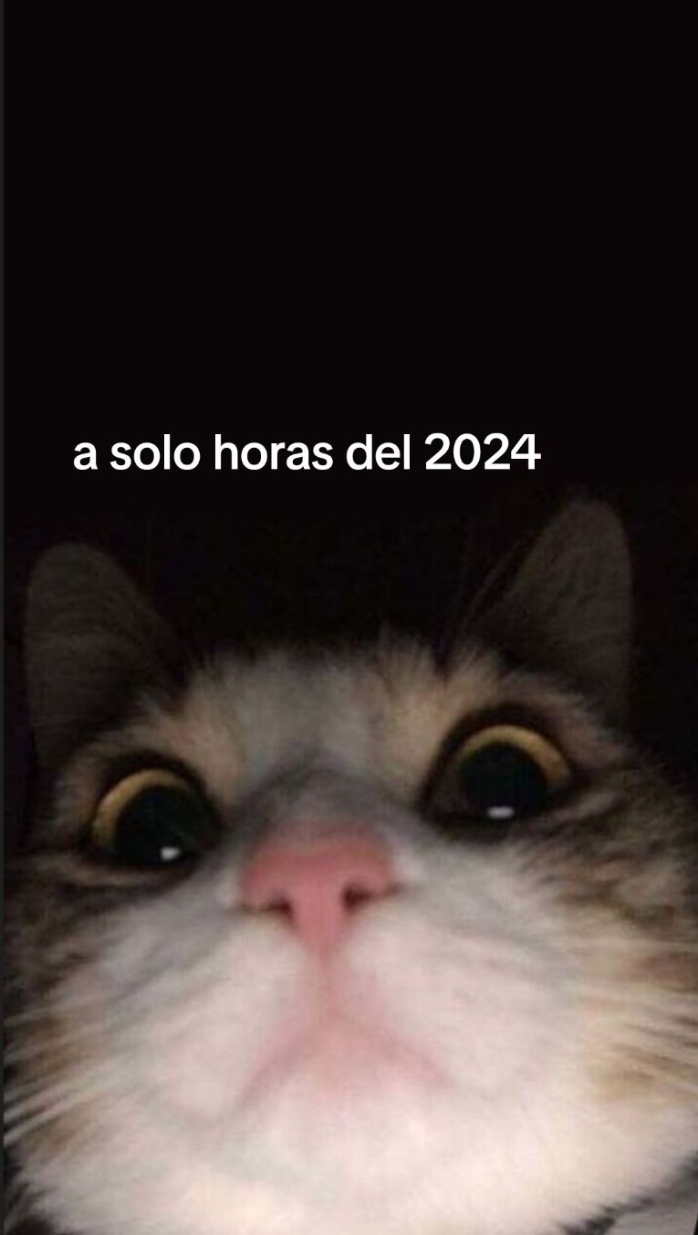 @Ximenita🫶🏻