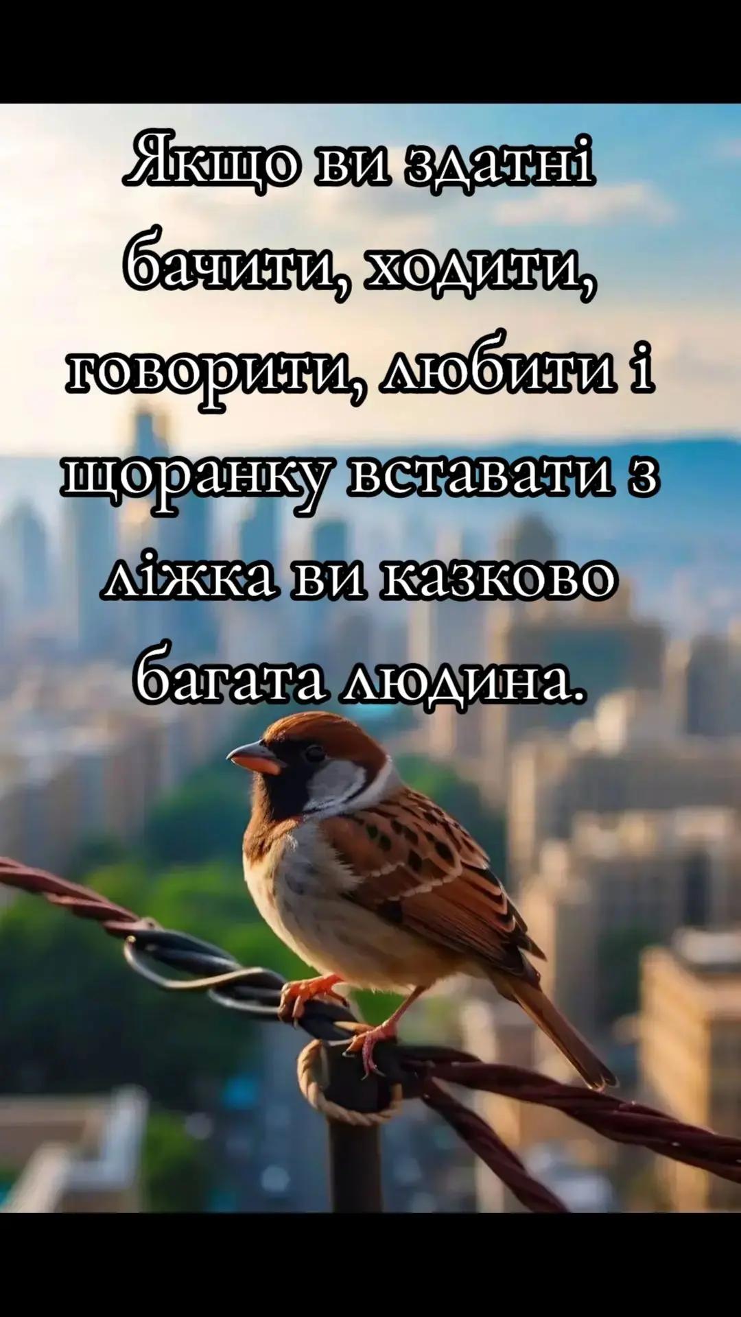 @Костянтин